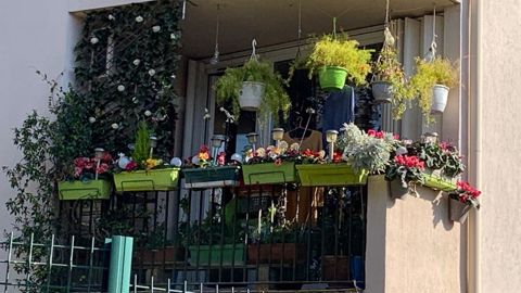 Comment séduire plus efficacement les consommateurs en recherche de végétaux ? Quelles tendances ? Réponses et bien d’autres sujets durant un focus sur les ventes au prochain Salon du végétal, en septembre à Angers. ©O.Maillard